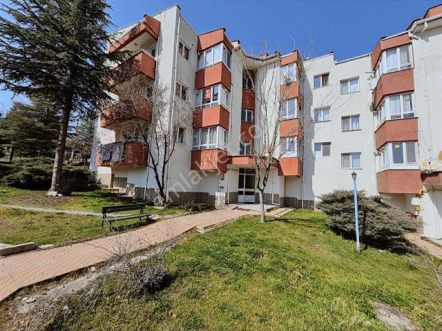 Odunpazari, Eskişehir içerisinde kiralık mülk