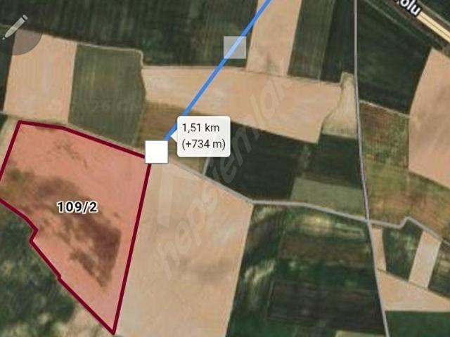 Yeşilyurt, Mahmudiye içerisinde satılık Arsa