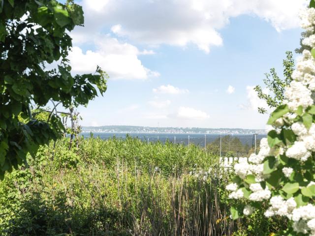 Hus till salu i Skåne