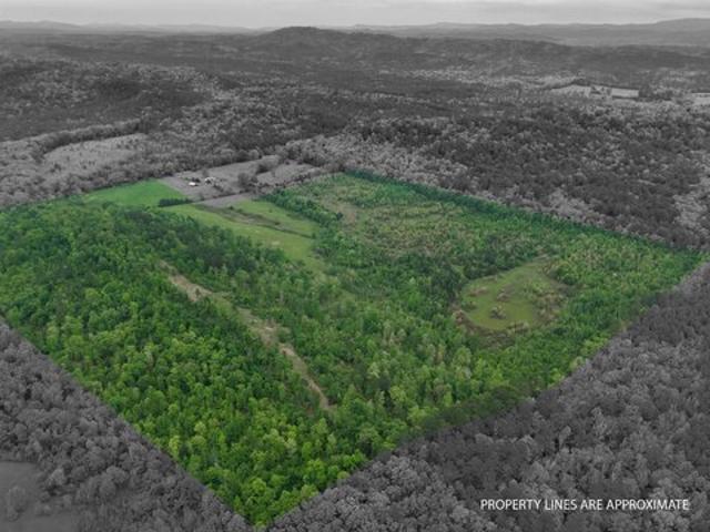 Land for sale in Ark
