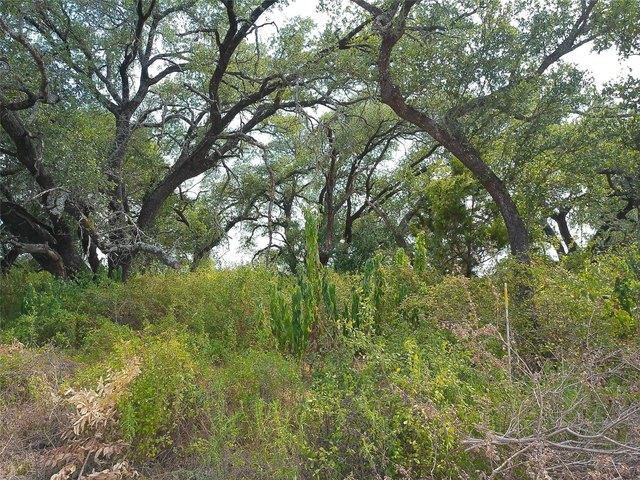 Land for sale in Bertram, Burnet County