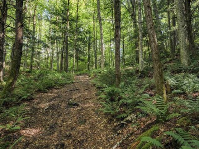 Land for sale in Whitingham, Vermont