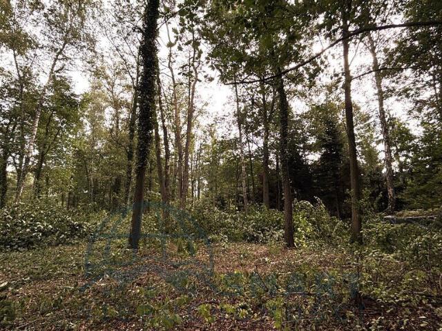 Grunt na sprzedaż w Rydzynki, Łódzkie