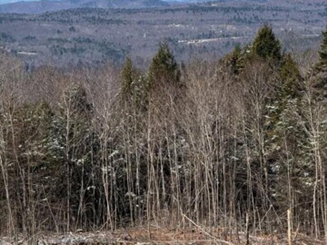Land for sale in Paris, Maine