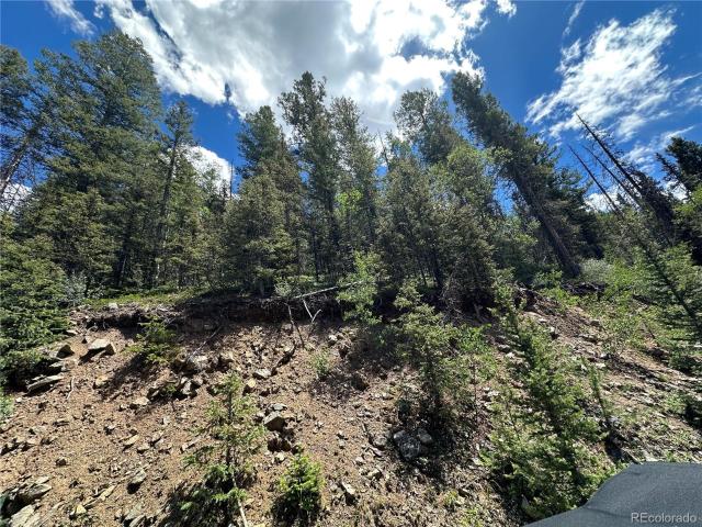 Land for sale in Fort Garland, Colorado