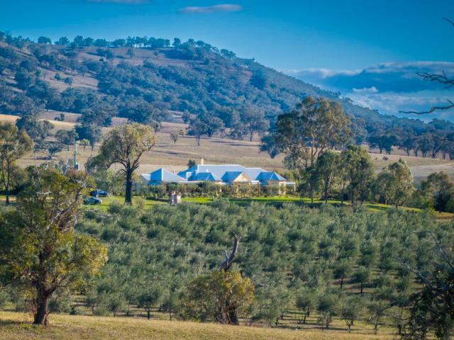 Property for sale in New South Wales