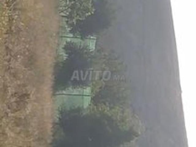 Propriété vente à Settat, Gharb-Chrarda-Beni Hssen