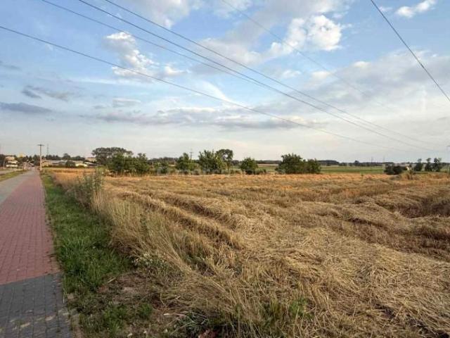 Grunt na sprzedaż w Łosice, Mazowieckie