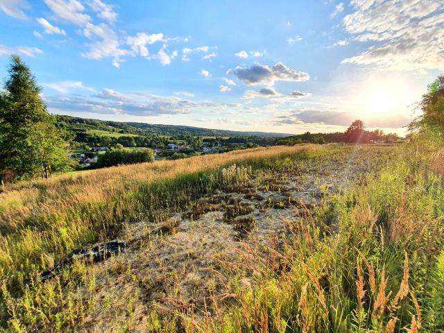 Grunt na sprzedaż w Rzeszów, Podkarpackie