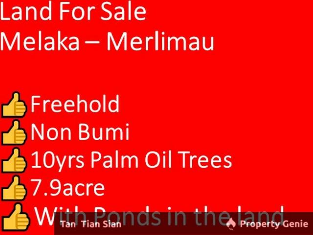 Property for sale in Malaka