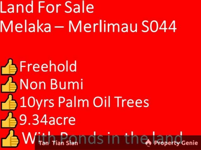 Property for sale in Malaka