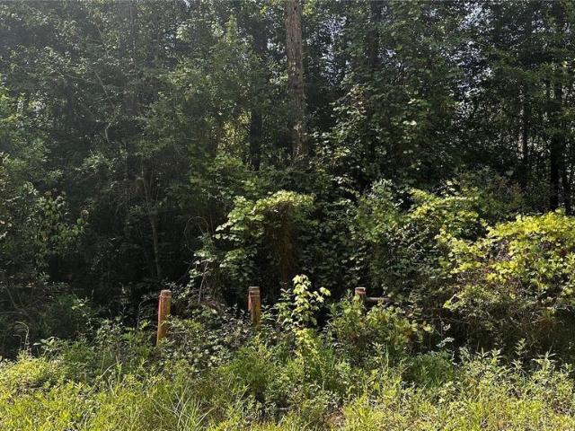 Land for sale in Lumberton, Texas
