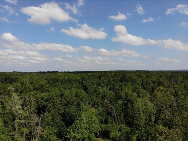Land for sale in Augusta, Wisconsin