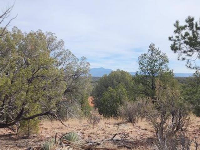 Land for sale in Ash Fork, Arizona