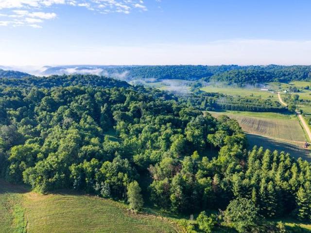 Land for sale in Hillsboro, Wisconsin