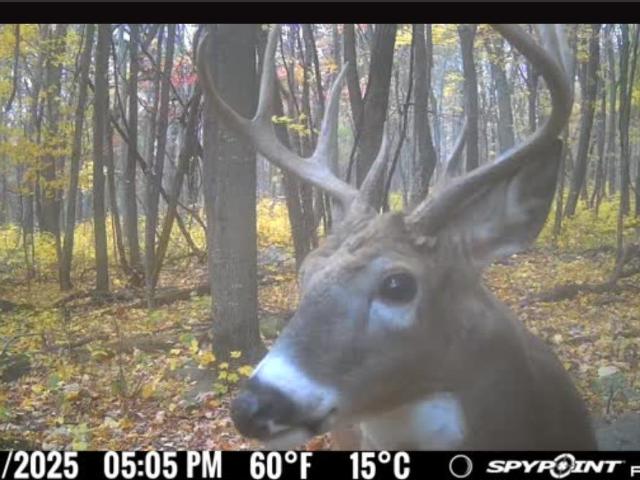 Land for sale in Wisconsin