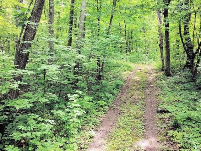 Land for sale in Rock Springs, Wisconsin