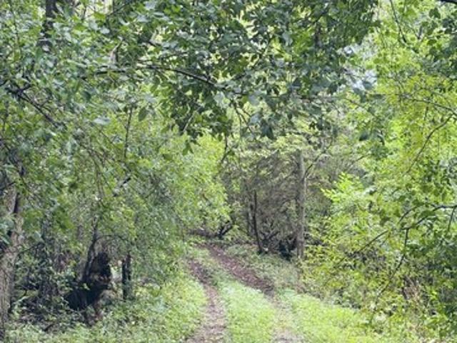 Land for sale in Eagle, Waukesha County