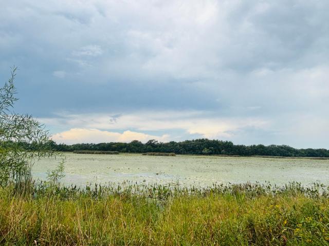 Land for sale in Wisconsin