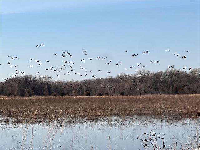 Land for sale in Parsons