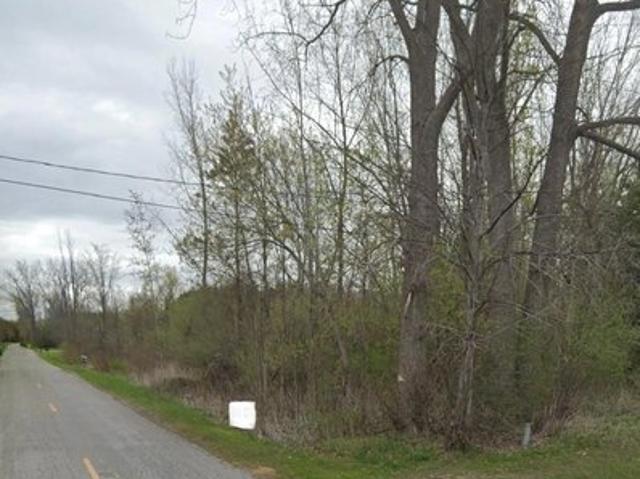 Land for sale in Linwood, Michigan