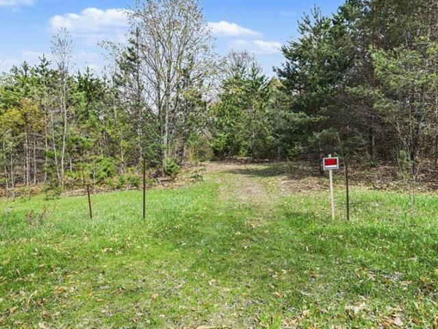 Land for sale in Harrietta, Michigan