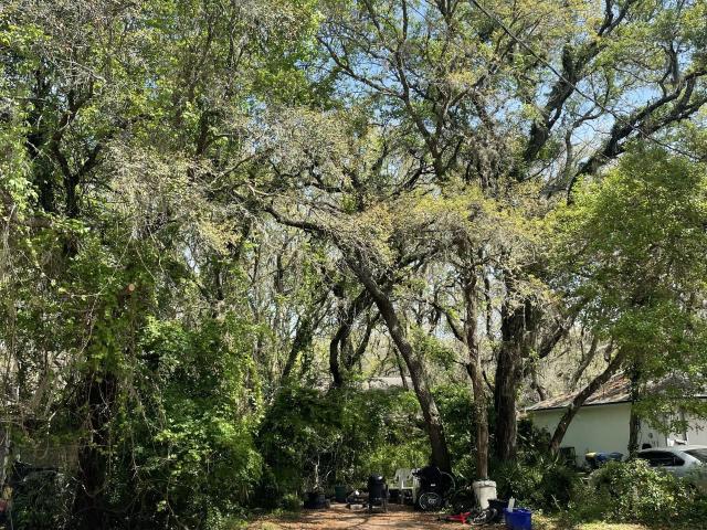 Property for sale in Fernandina Beach, Florida