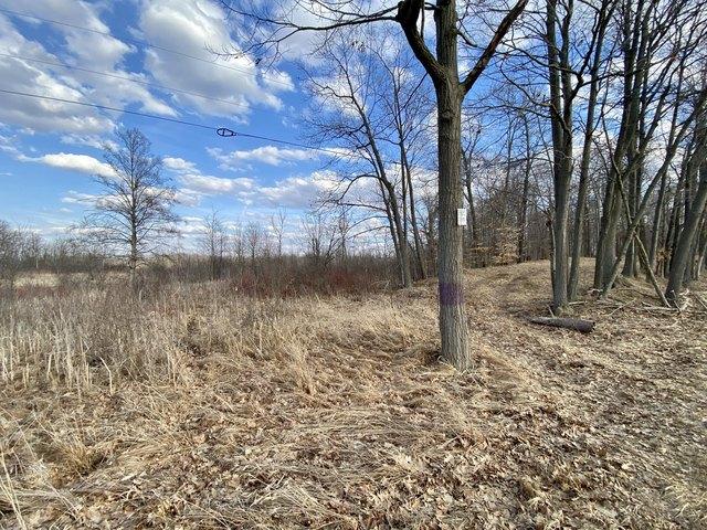 Land for sale in Schoolcraft, Michigan