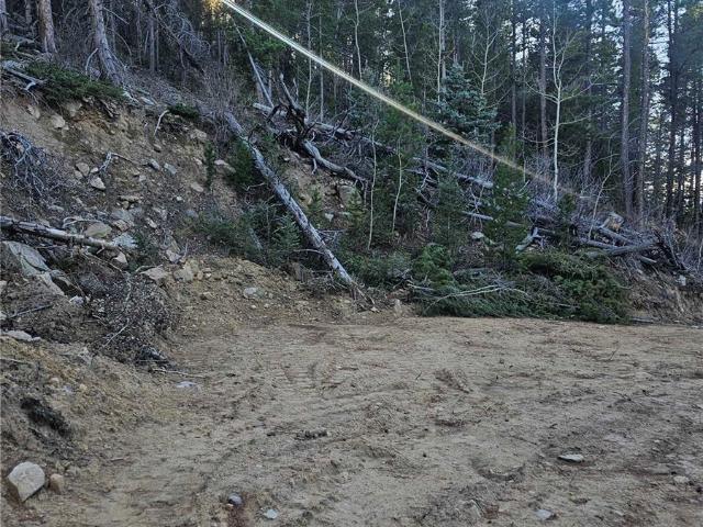 Land for sale in Pinecliffe, Colorado