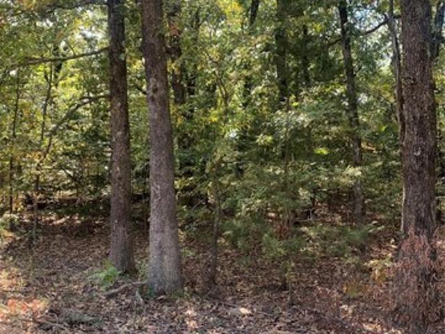 Land for sale in Vian, Oklahoma