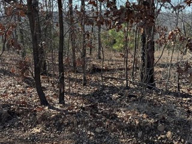 Land for sale in Vian, Oklahoma