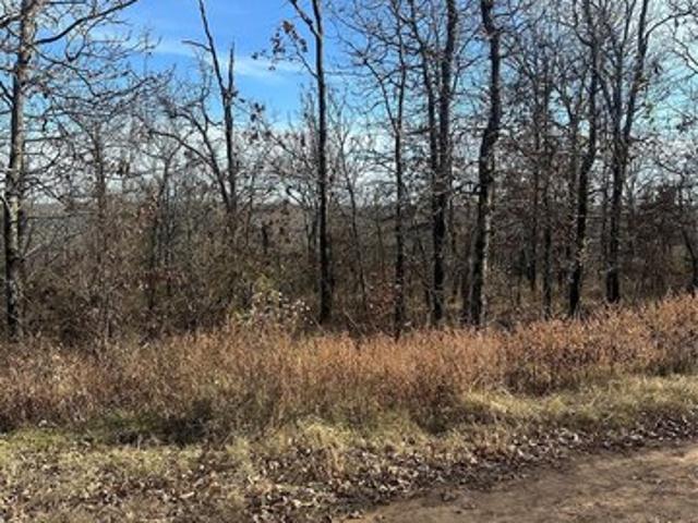 Land for sale in Vian, Oklahoma