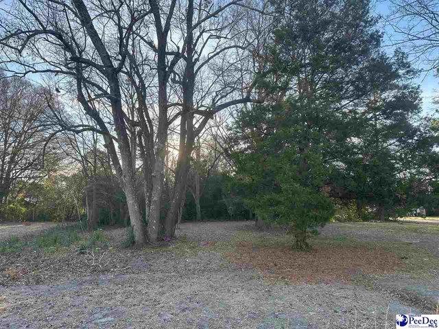 Land for sale in Dillon, South Carolina