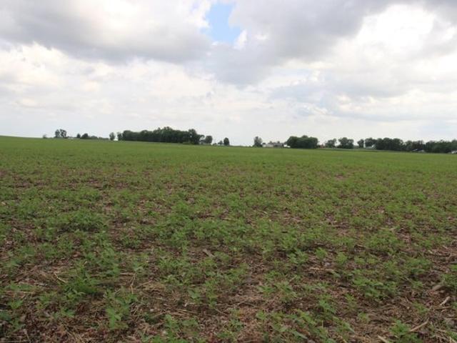 Land for sale in Gibson, Indiana