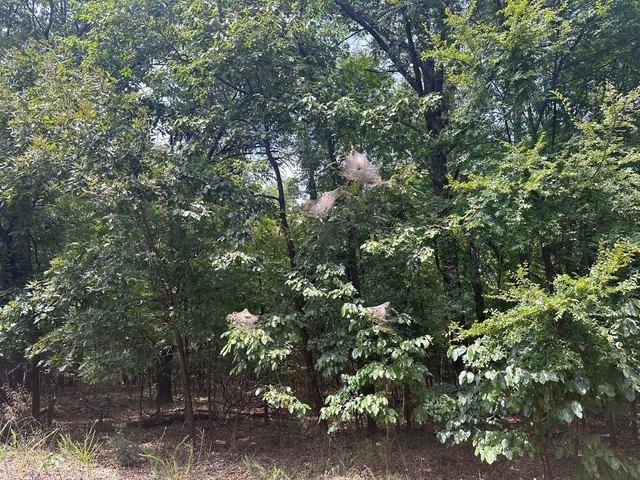 Land for sale in Afton, Oklahoma