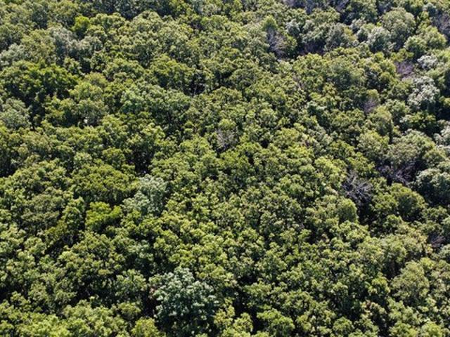 Land for sale in Humansville, Missouri