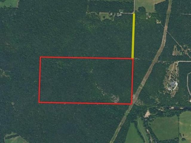 Land for sale in Flemington, Polk County