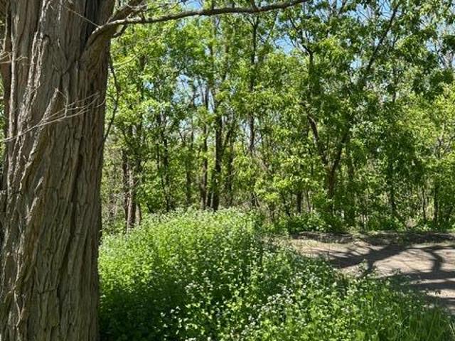 Land for sale in Saint Croix Falls, Wisconsin