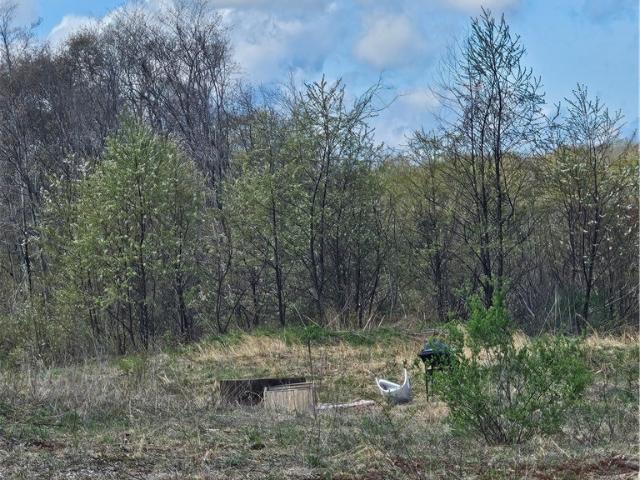 Land for sale in Orleans, New York