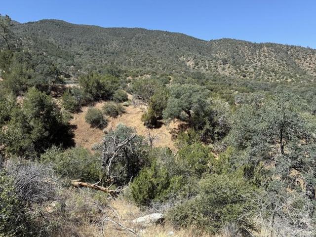 Land for sale in Bodfish, California