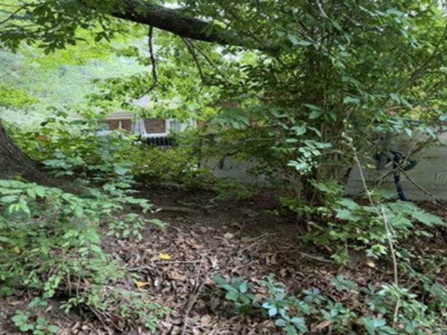House for sale in Candler, North Carolina