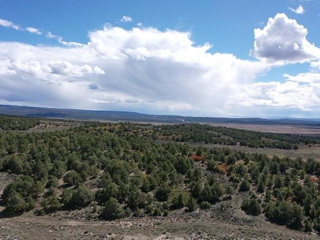 Farm for sale in Los Ojos, New Mexico