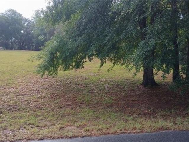 Land for sale in Floral City, Florida