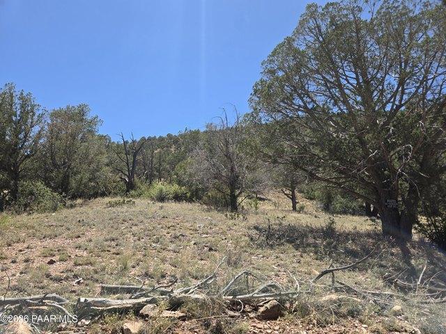 Land for sale in Ash Fork, Arizona