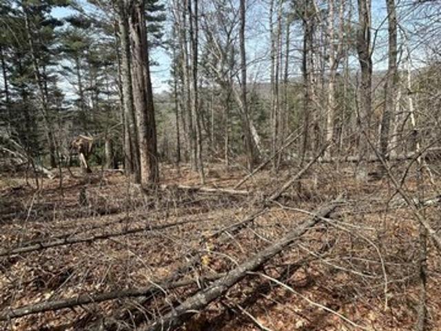Land for sale in Gap Mills, West Virginia