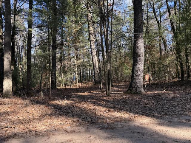 Land for sale in Michigan