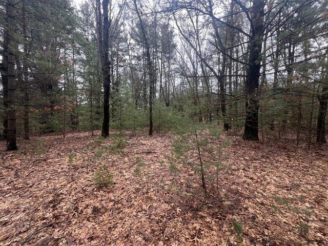 Land for sale in White Cloud, Michigan