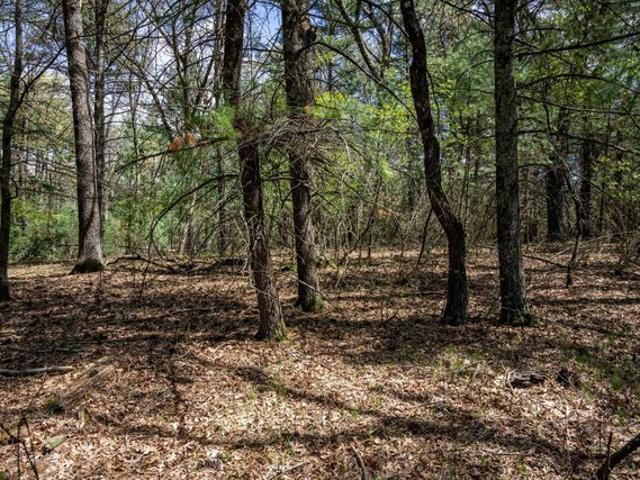 Land for sale in Arkdale, Wisconsin