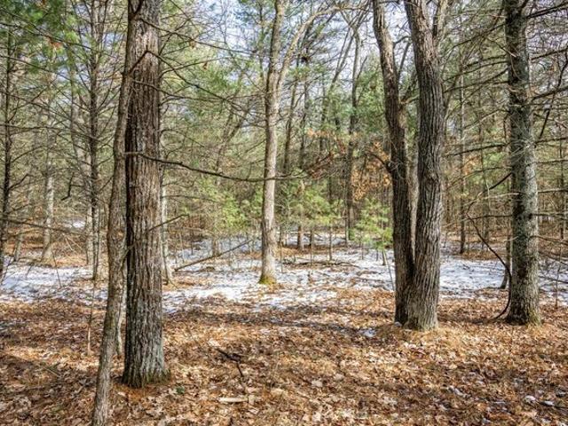 Land for sale in Arkdale, Wisconsin