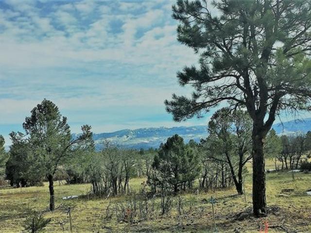 Land for sale in Ridgway, Colorado